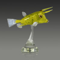 Longhorn Cowfish