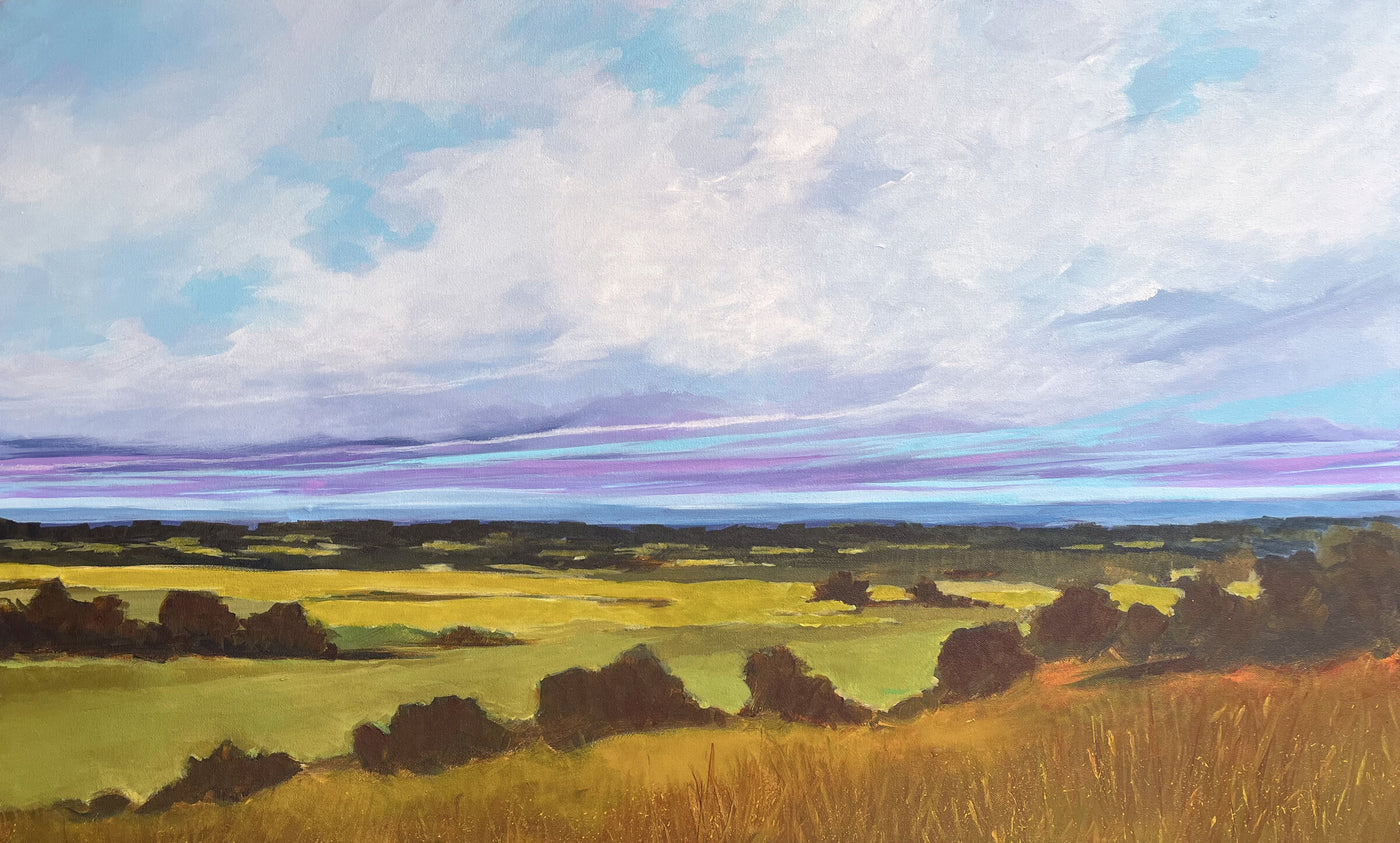 Distant Meadow