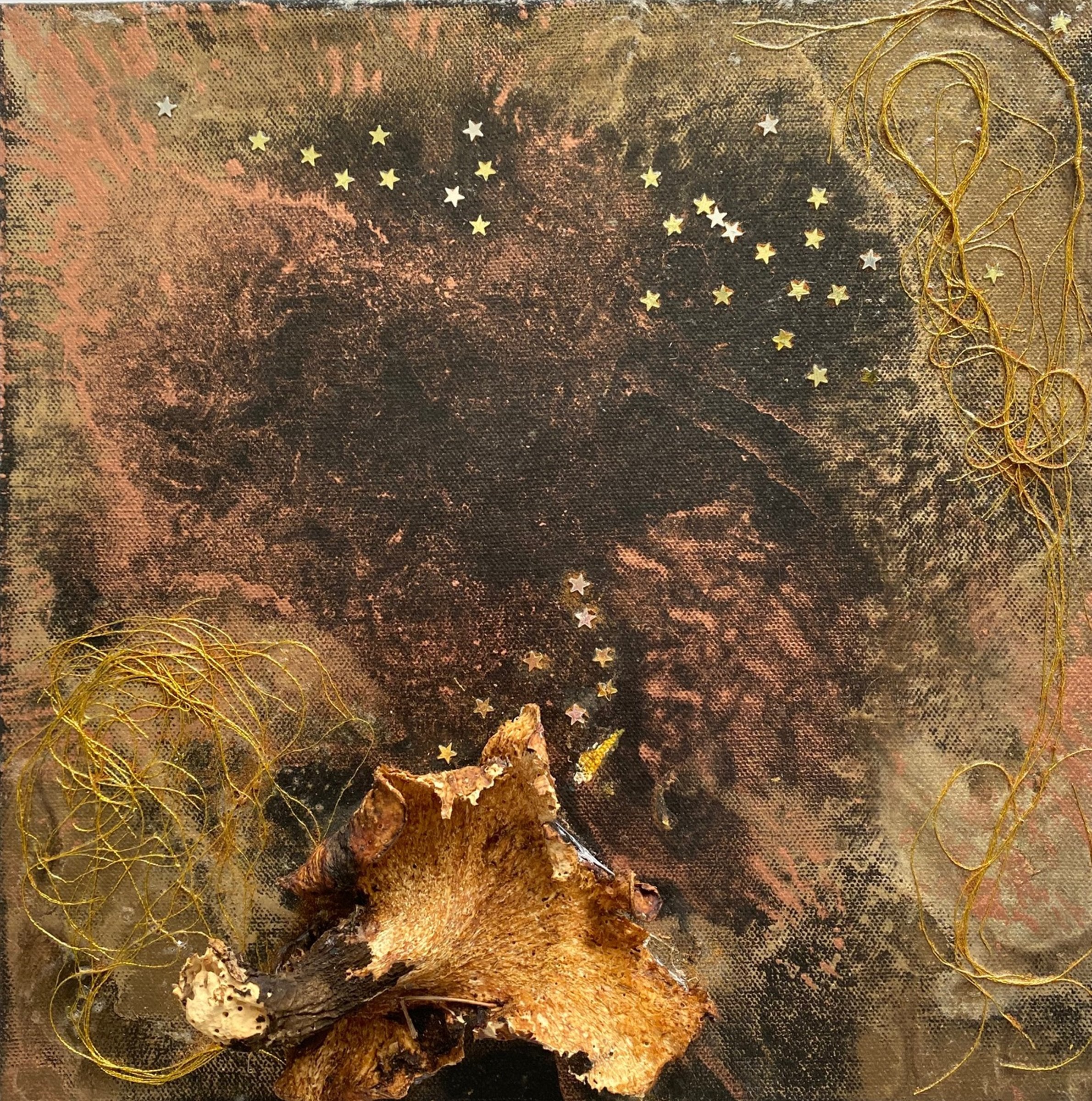 Form Follows Fungi!