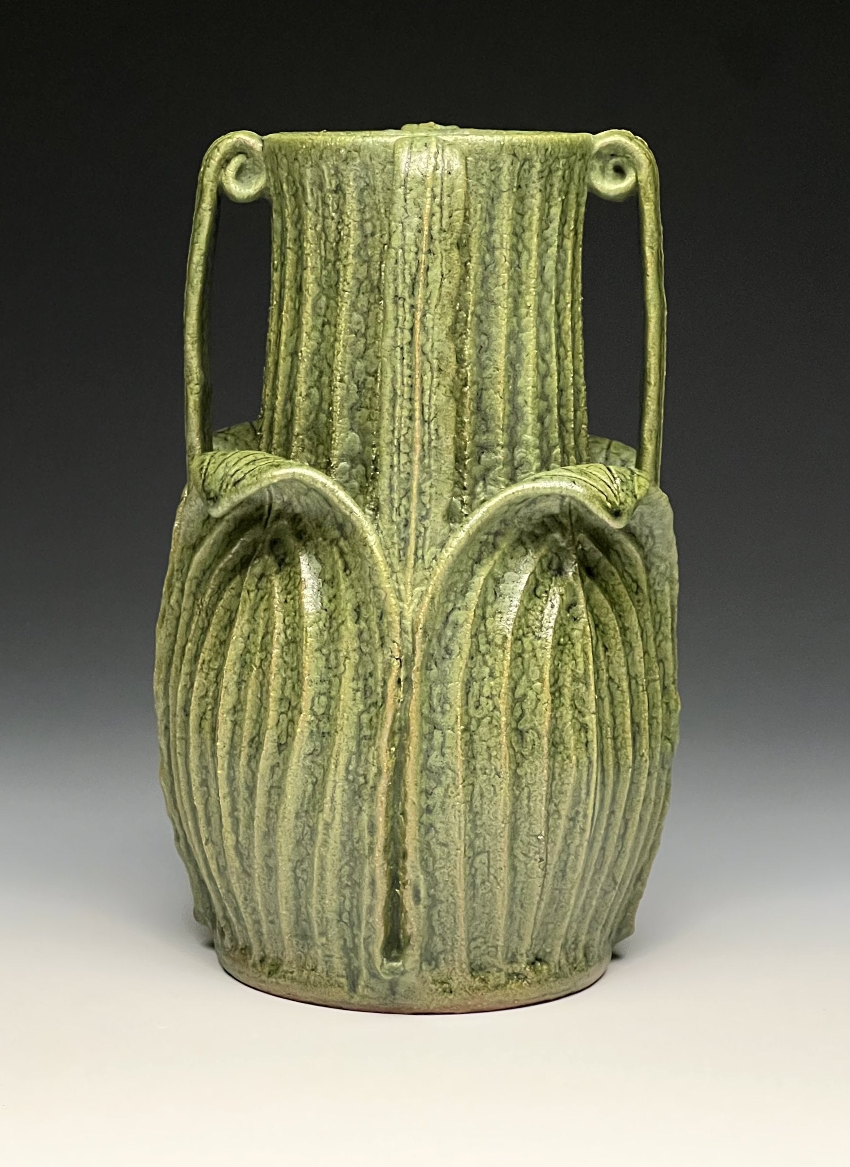 Buttressed Curled Leaf Vessel