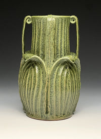 Buttressed Curled Leaf Vessel