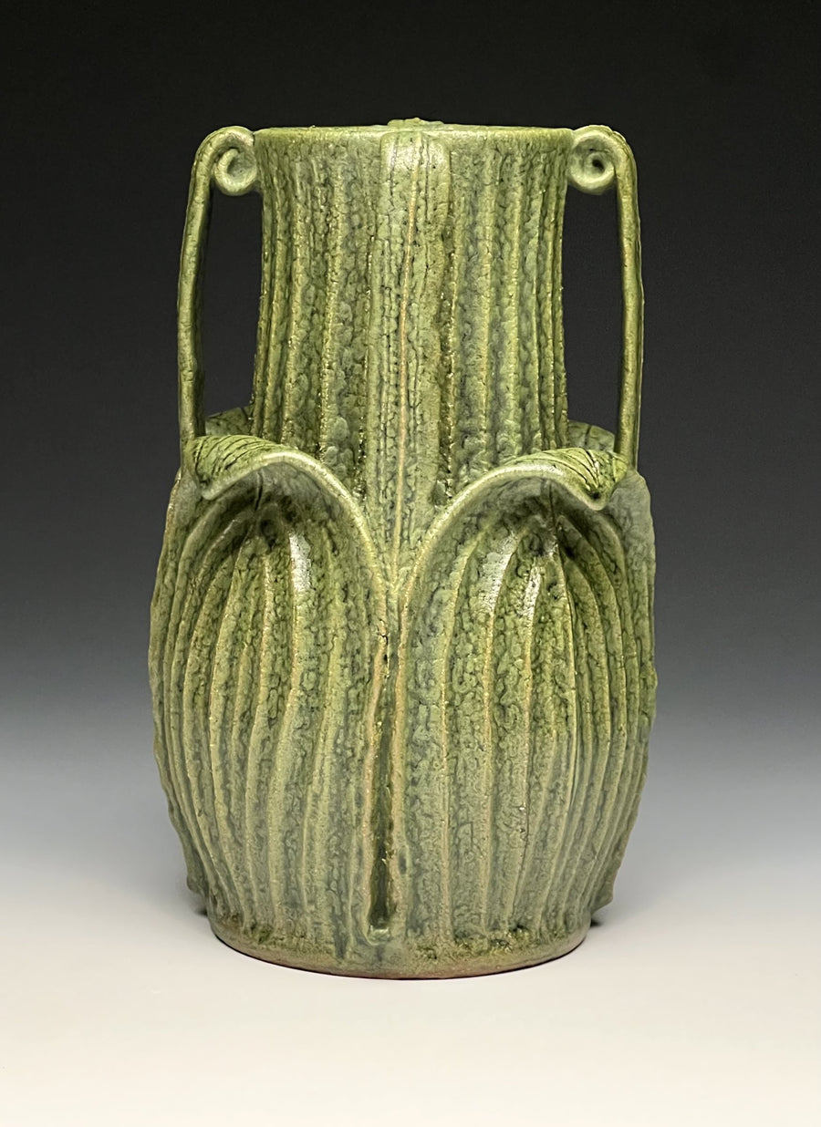 Buttressed Curled Leaf Vessel