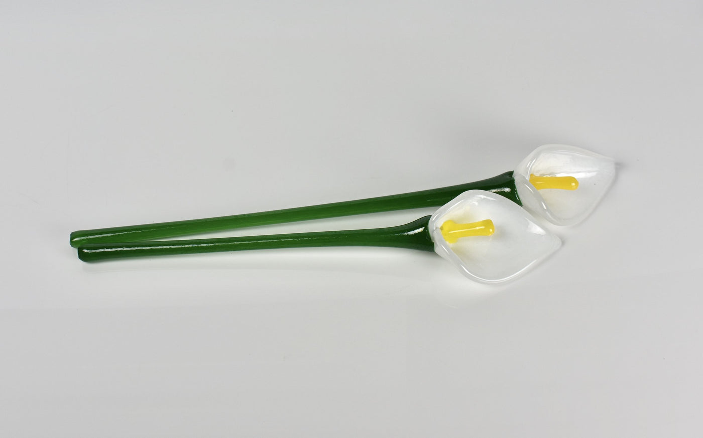 Calla Lily