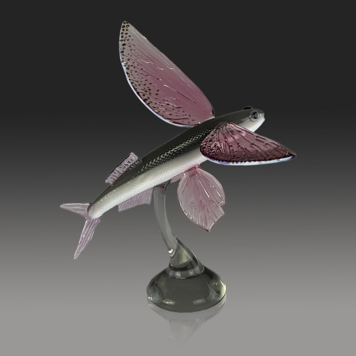 Glider Flying Fish