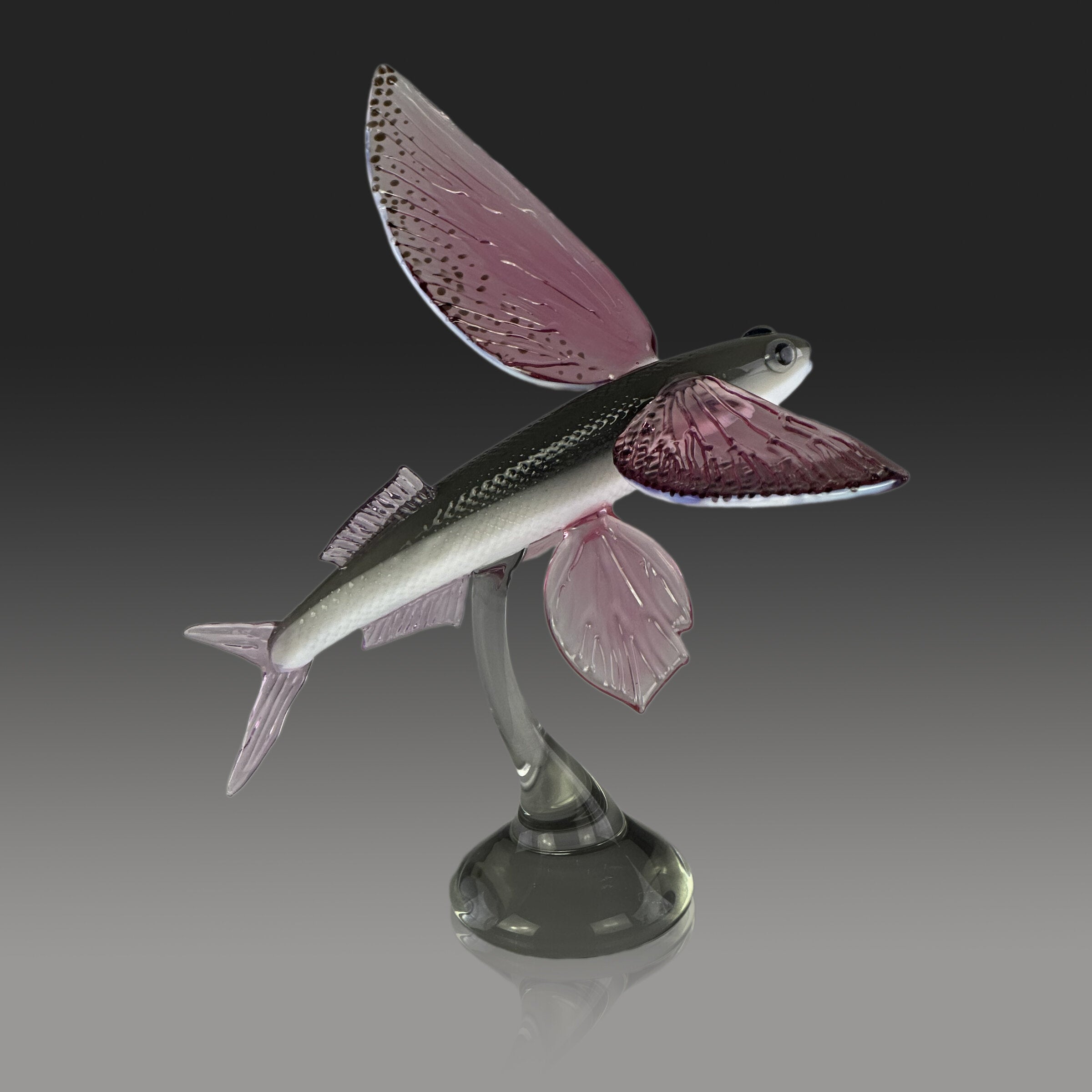 Glider Flying Fish