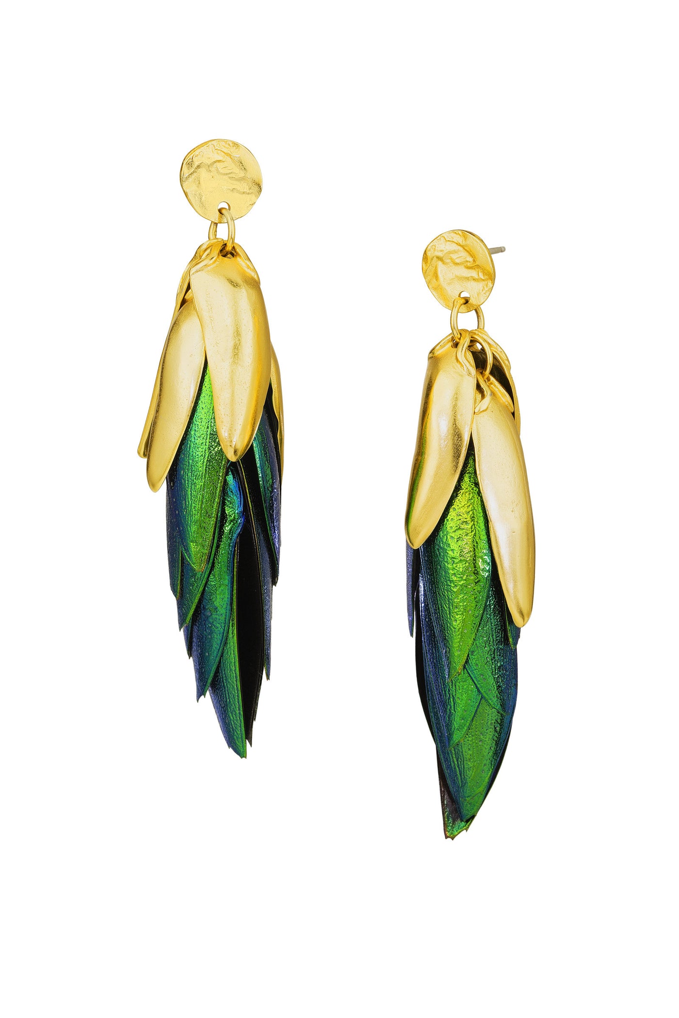 Photo by Cole Rodger