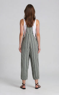 Aries Overall