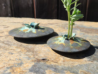 Two sizes of lens vase - low angle.