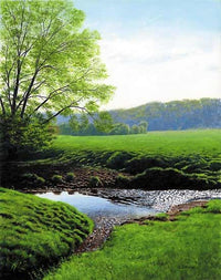 Spring Morning - Elvers Creek