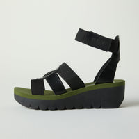 Black/Green