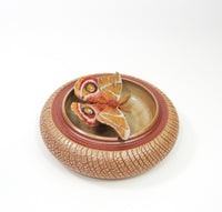 Bullseye Moth (Antherina Suraka)