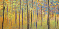 In the Colorful Forest