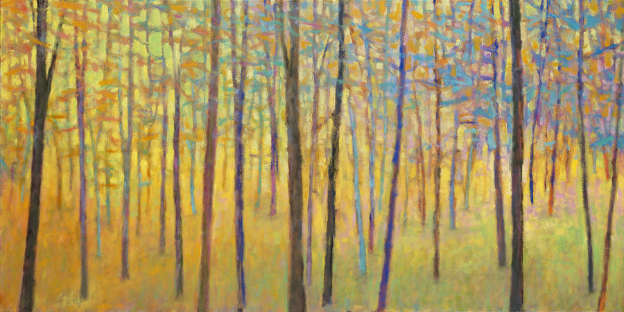 In the Colorful Forest