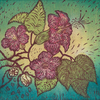 Ko'oloa'ula