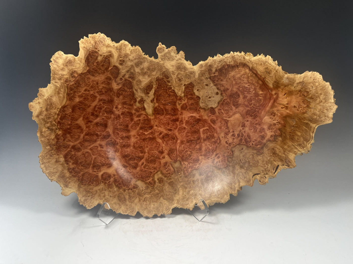 Red Mallee Eucalyptus Burl I