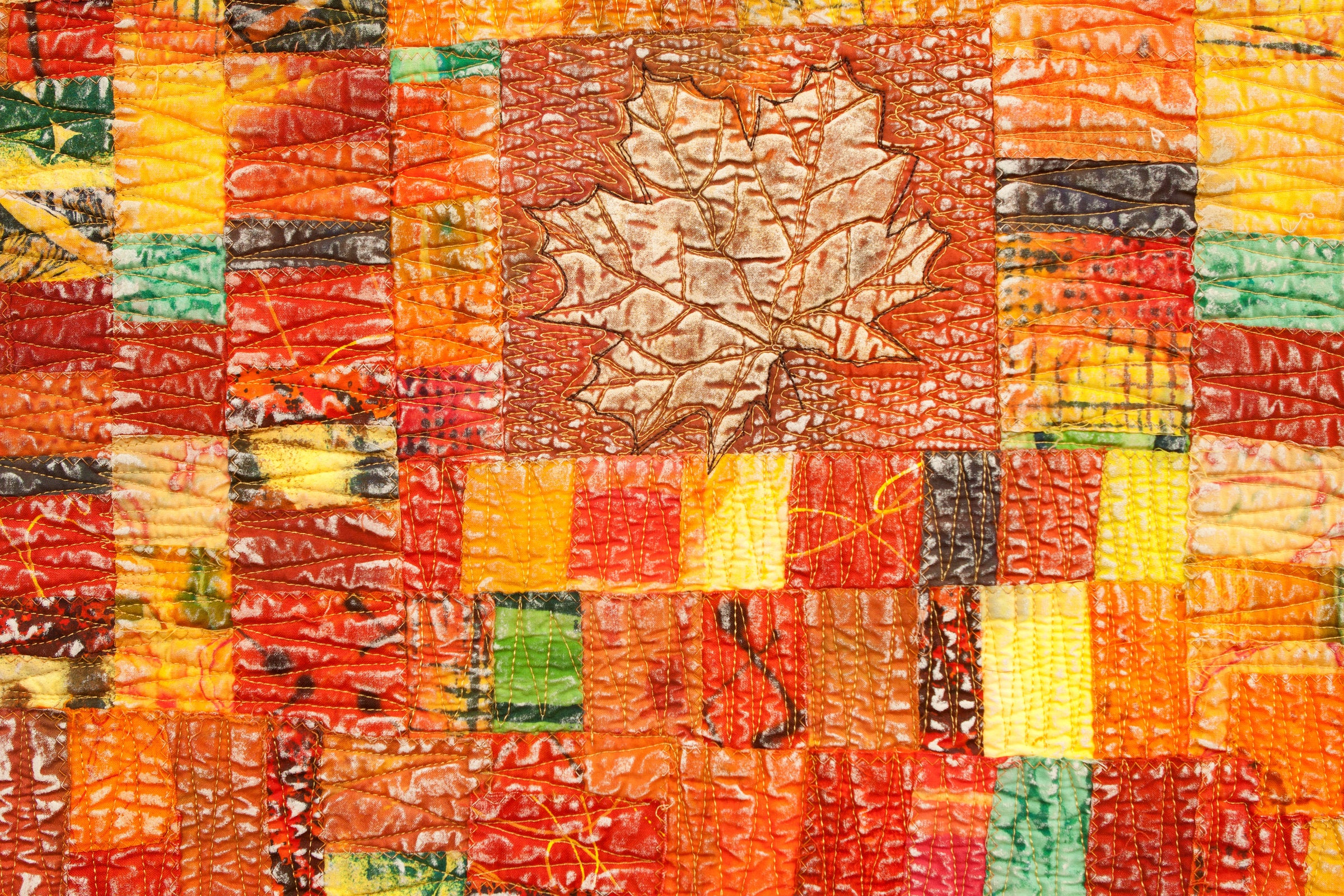 Fall Colors