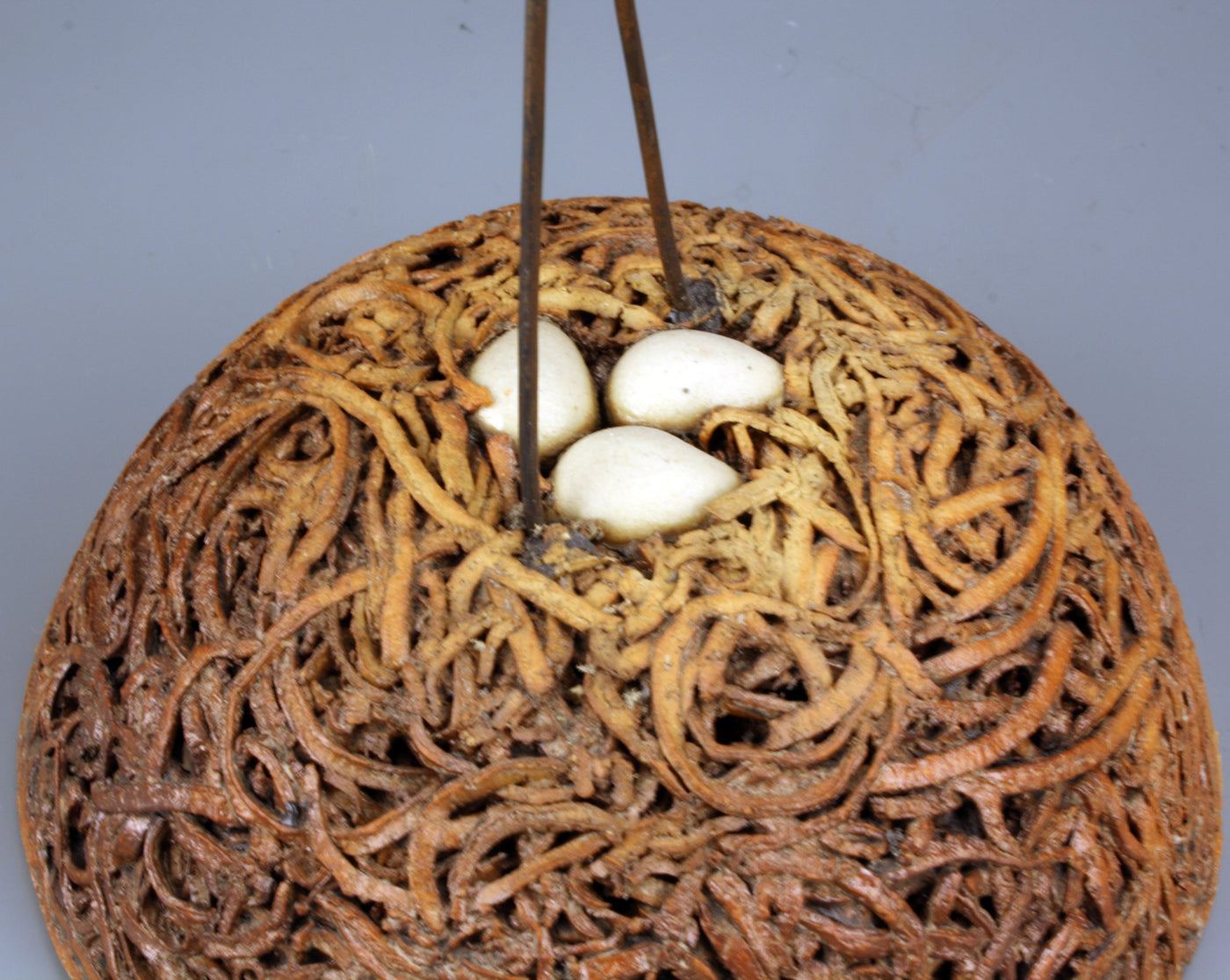 Nest with Song Bird
