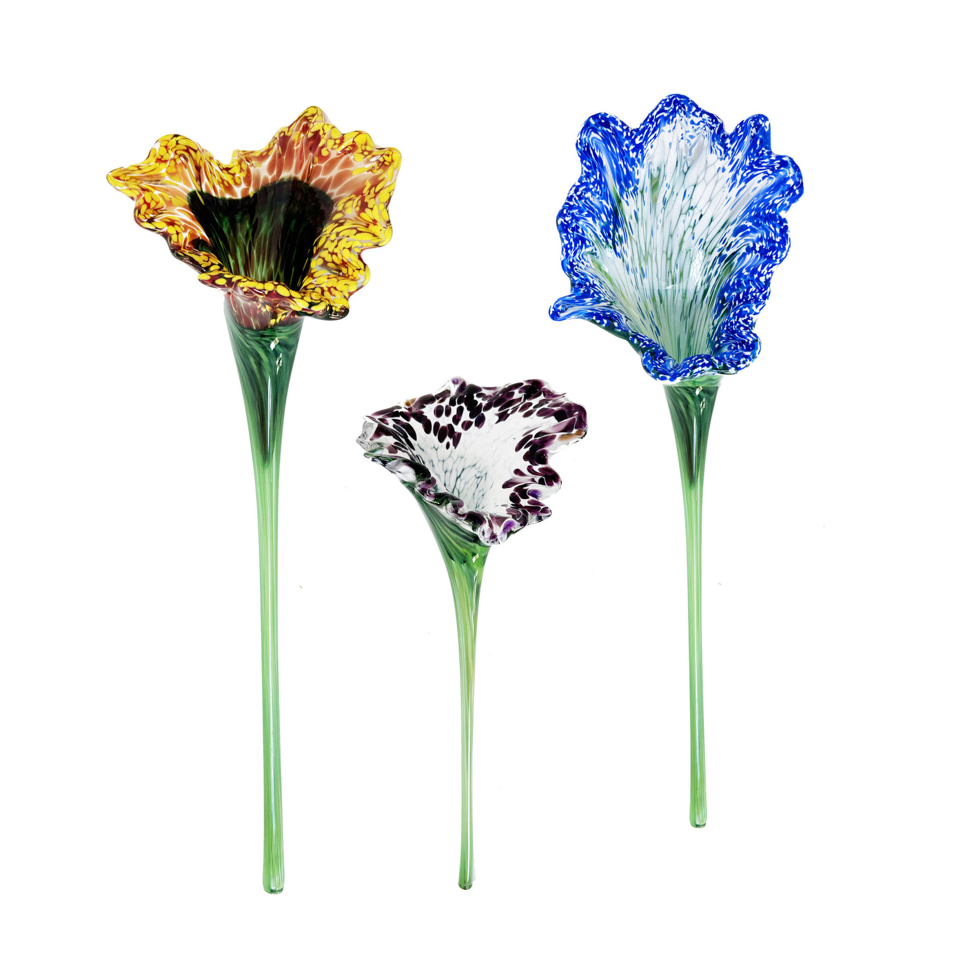 Wallflowers