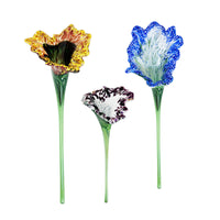 Wallflowers
