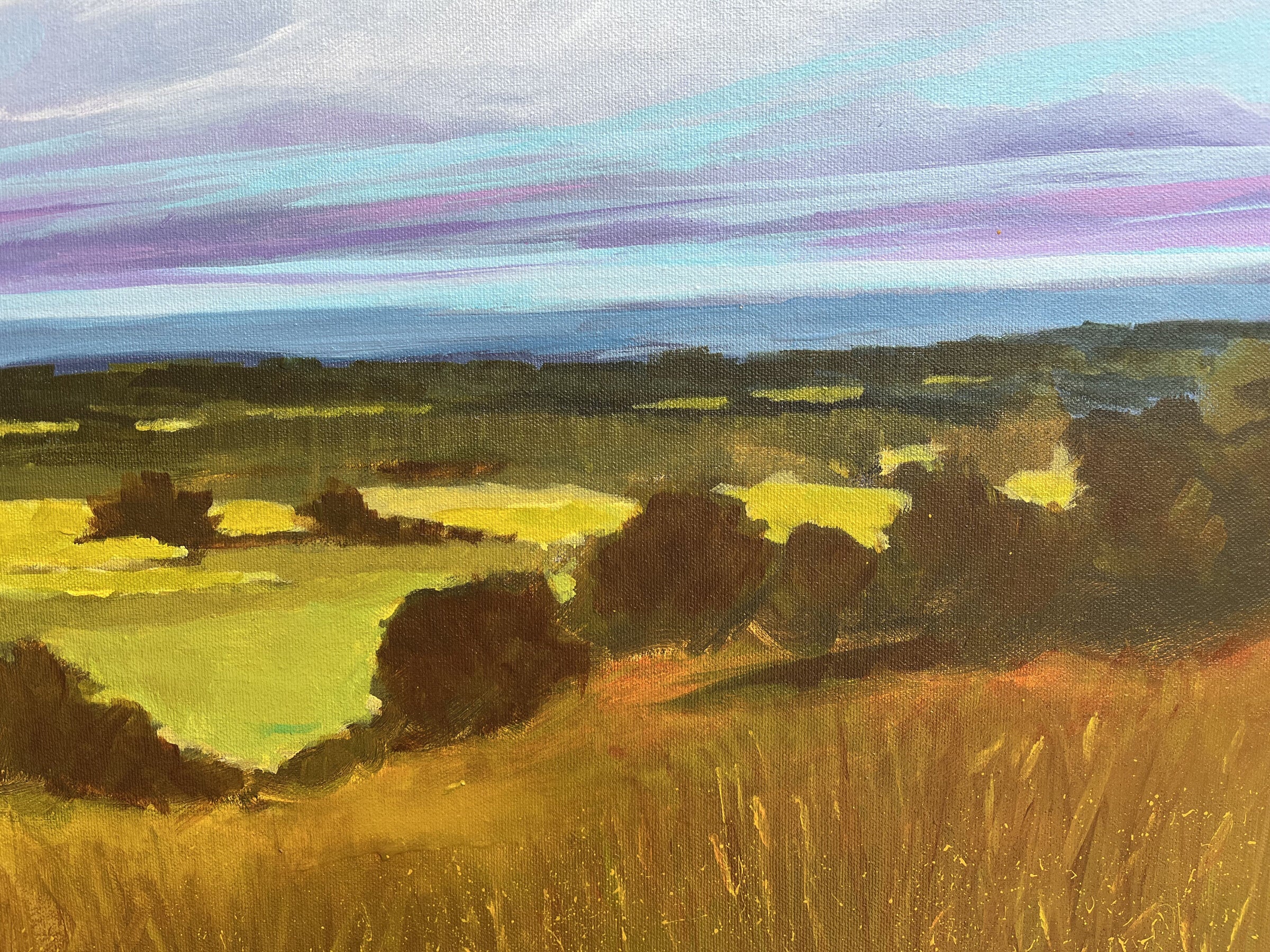 Distant Meadow