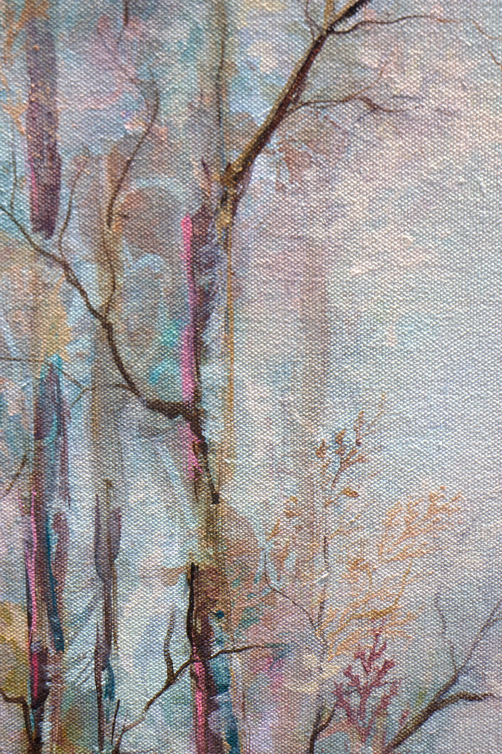 The Woods Awaken