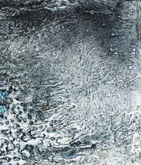 Corallium 12