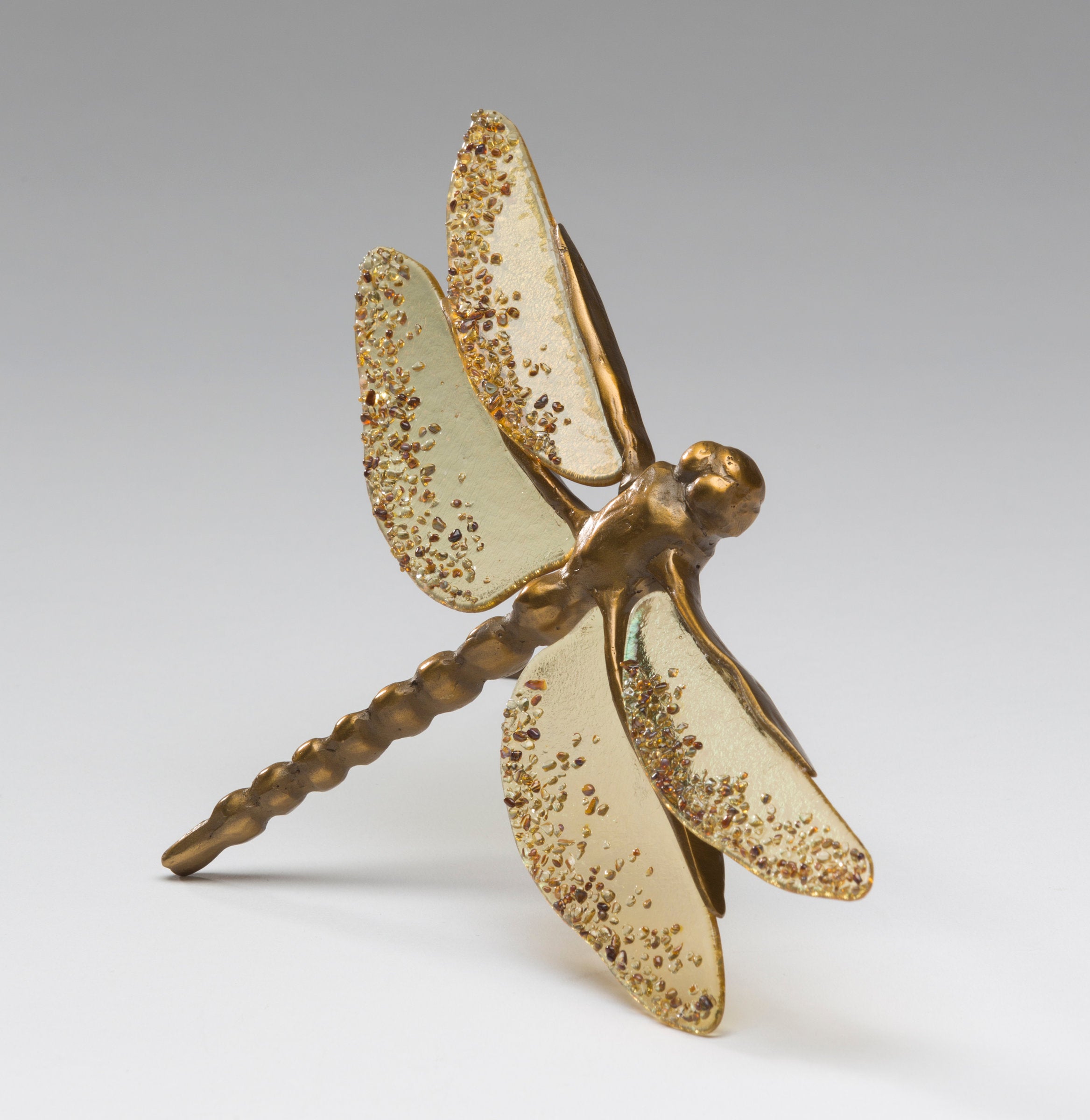 Brown Dragonfly with Amber Wings