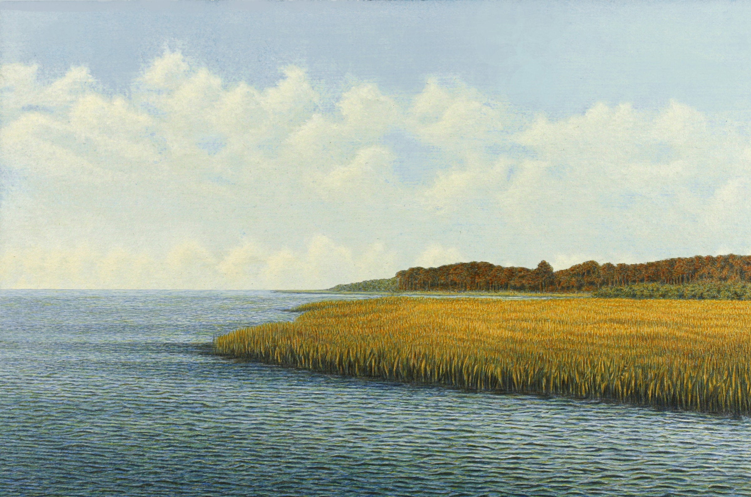 Open Water