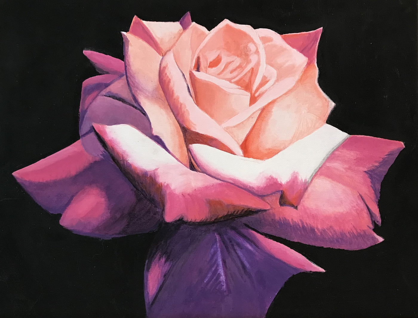 Pink Rose