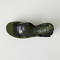 Black/Green