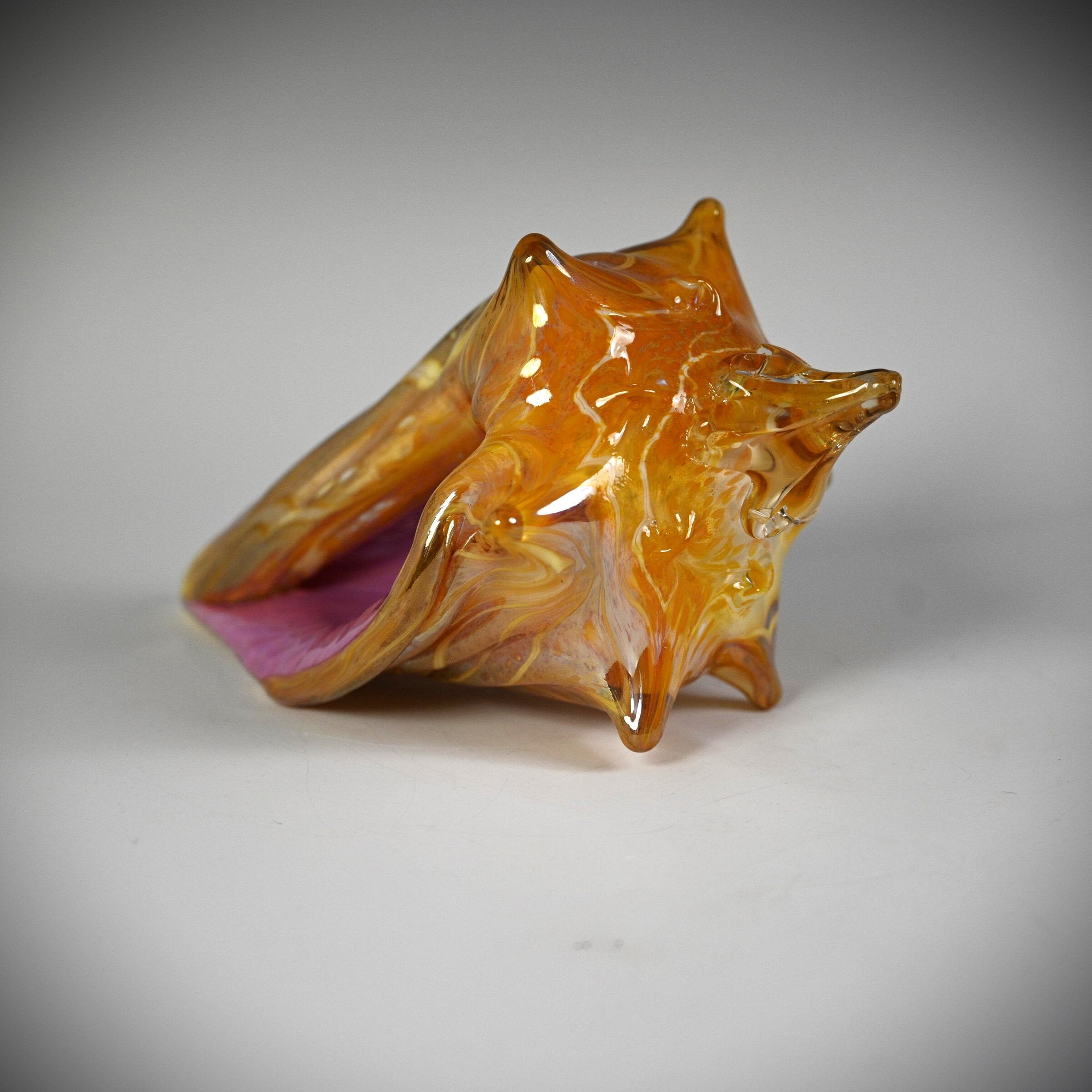 Golden Sunset Shell