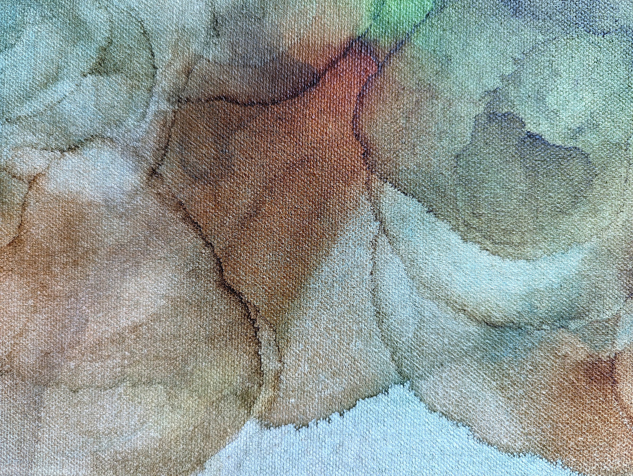 backwoodsdetail1