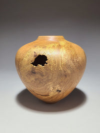 Survivor III