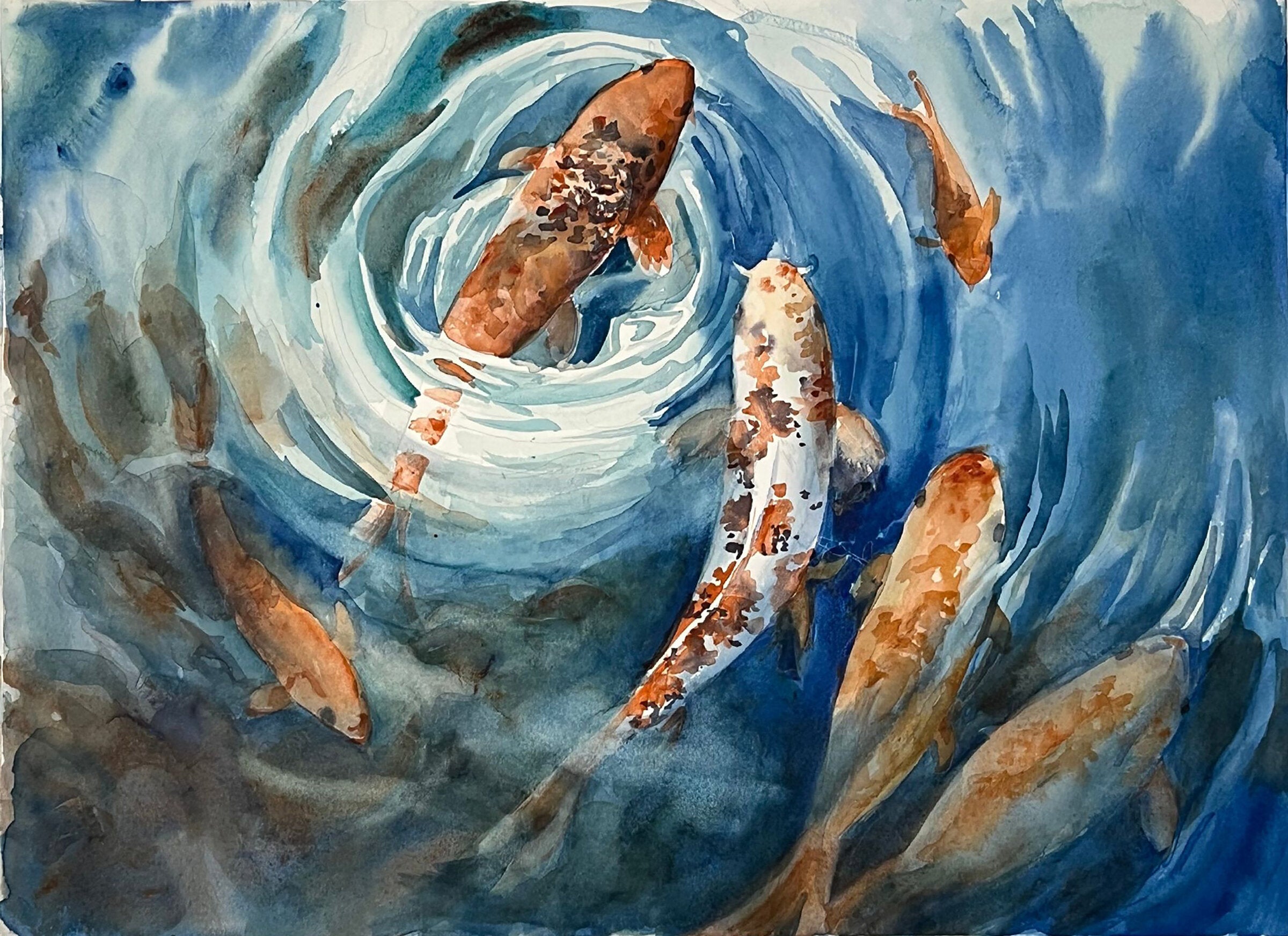 Koi in the Current