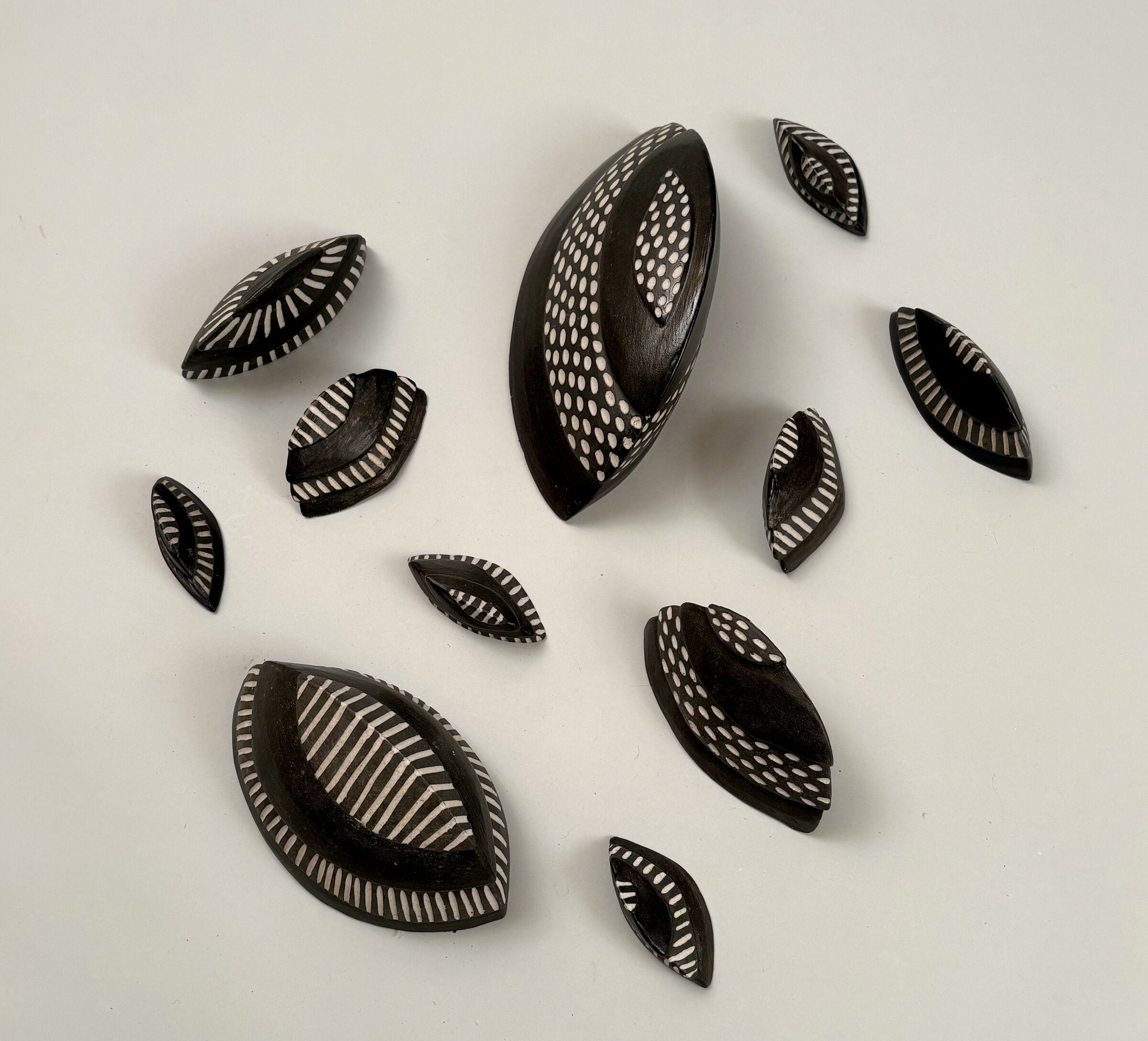 Segmented Chitons