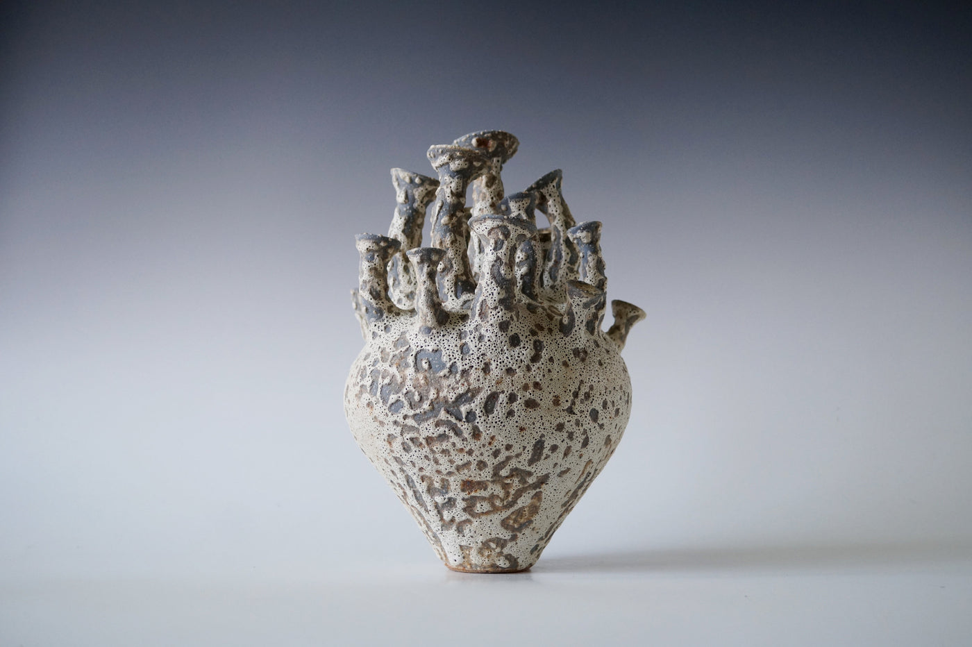 Tide Cluster Black Sea Porcelain Vessel