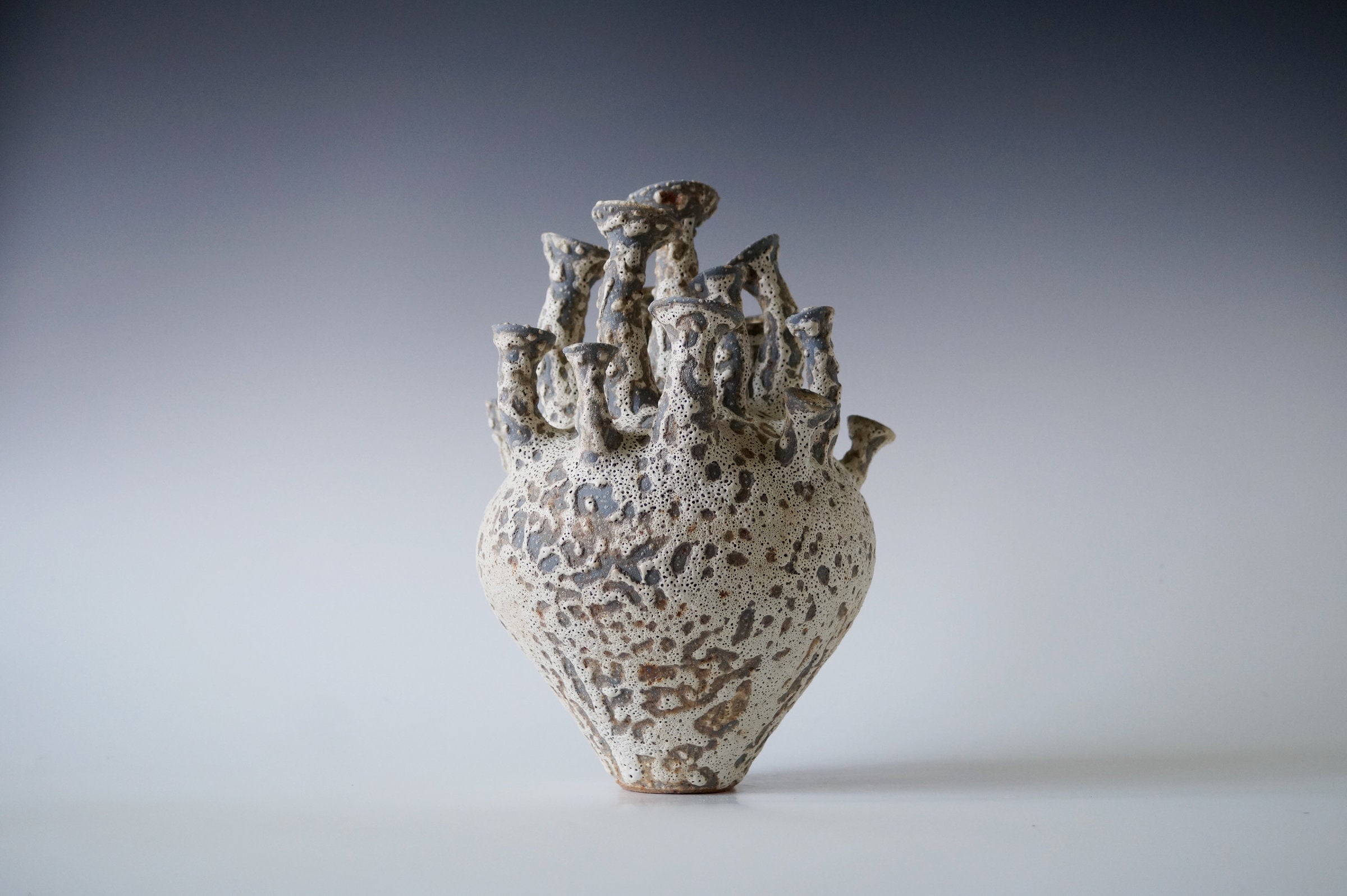 Tide Cluster Black Sea Porcelain Vessel