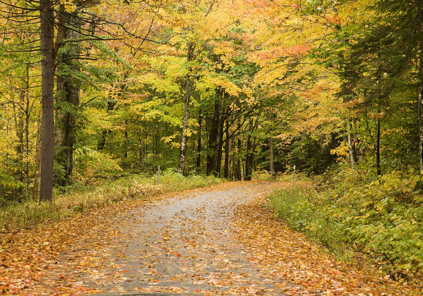 Fall Road