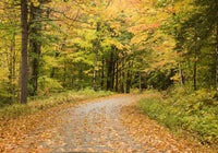 Fall Road