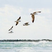 Summer Waves and Birds