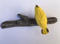Goldfinch