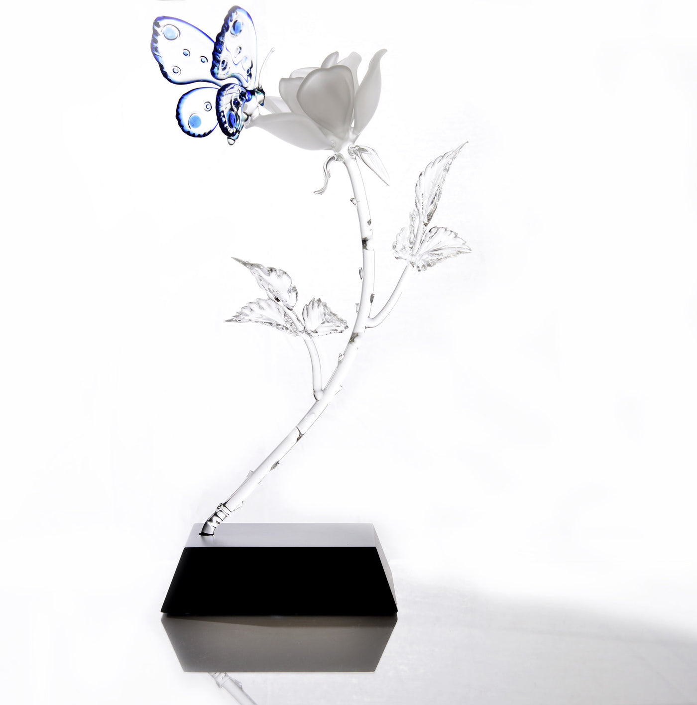 Rose and Butterfly