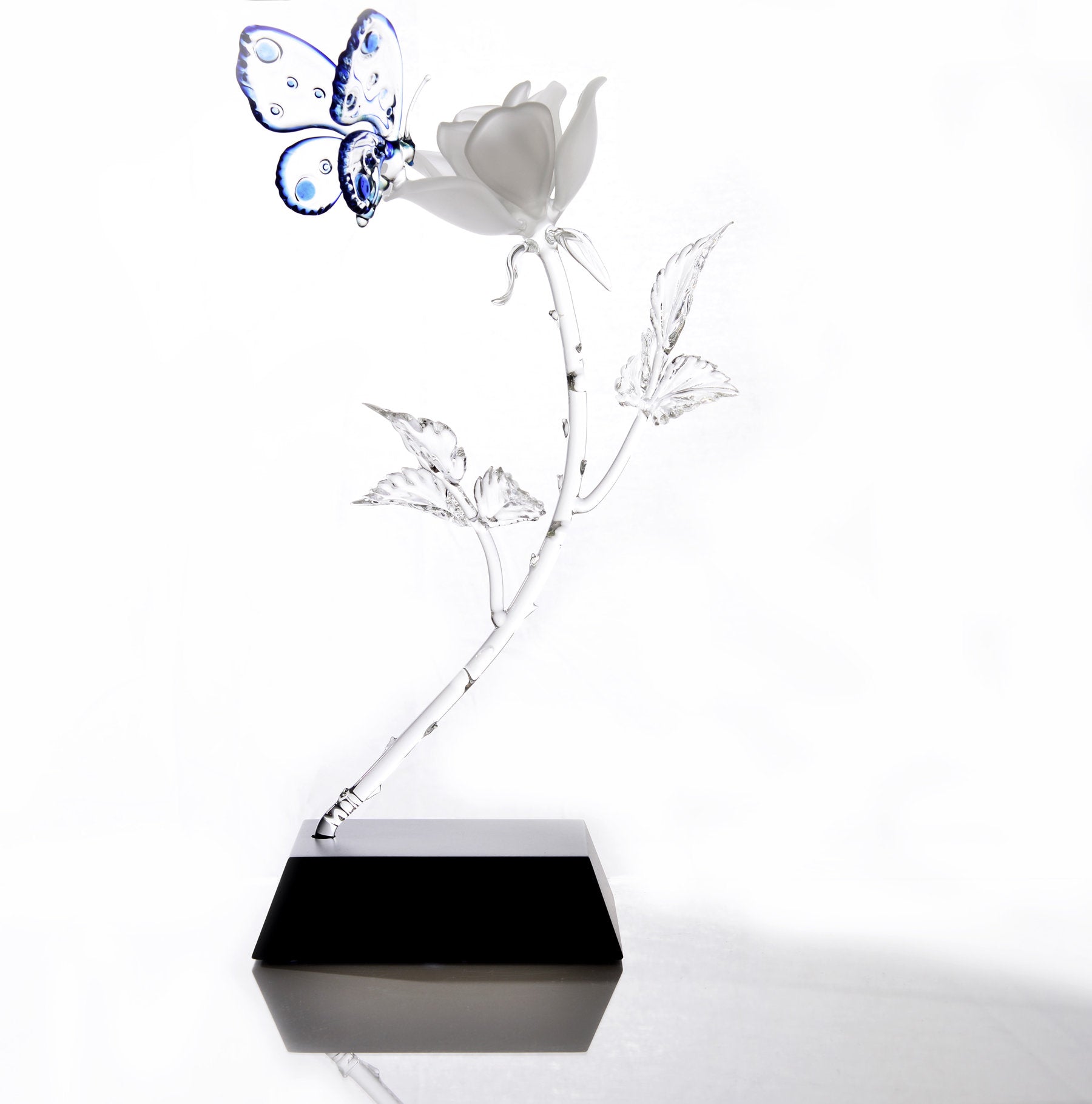 Rose and Butterfly