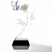 Rose and Butterfly