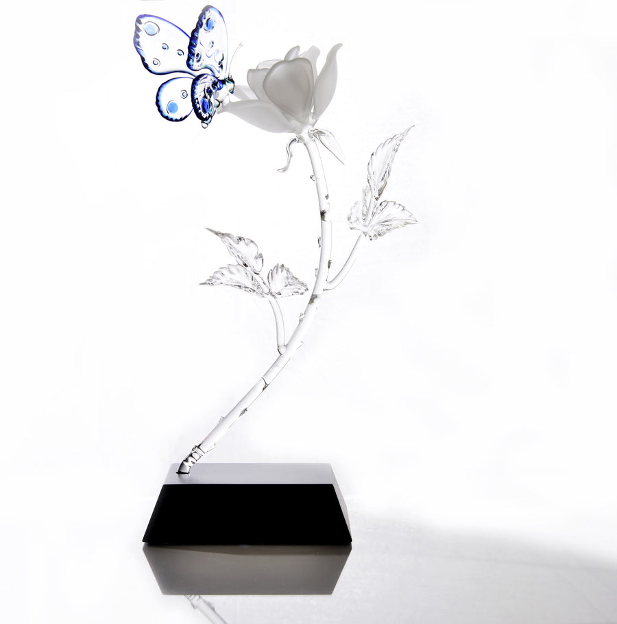 Rose and Butterfly