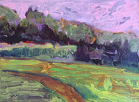 Cranberry Bog in Summer