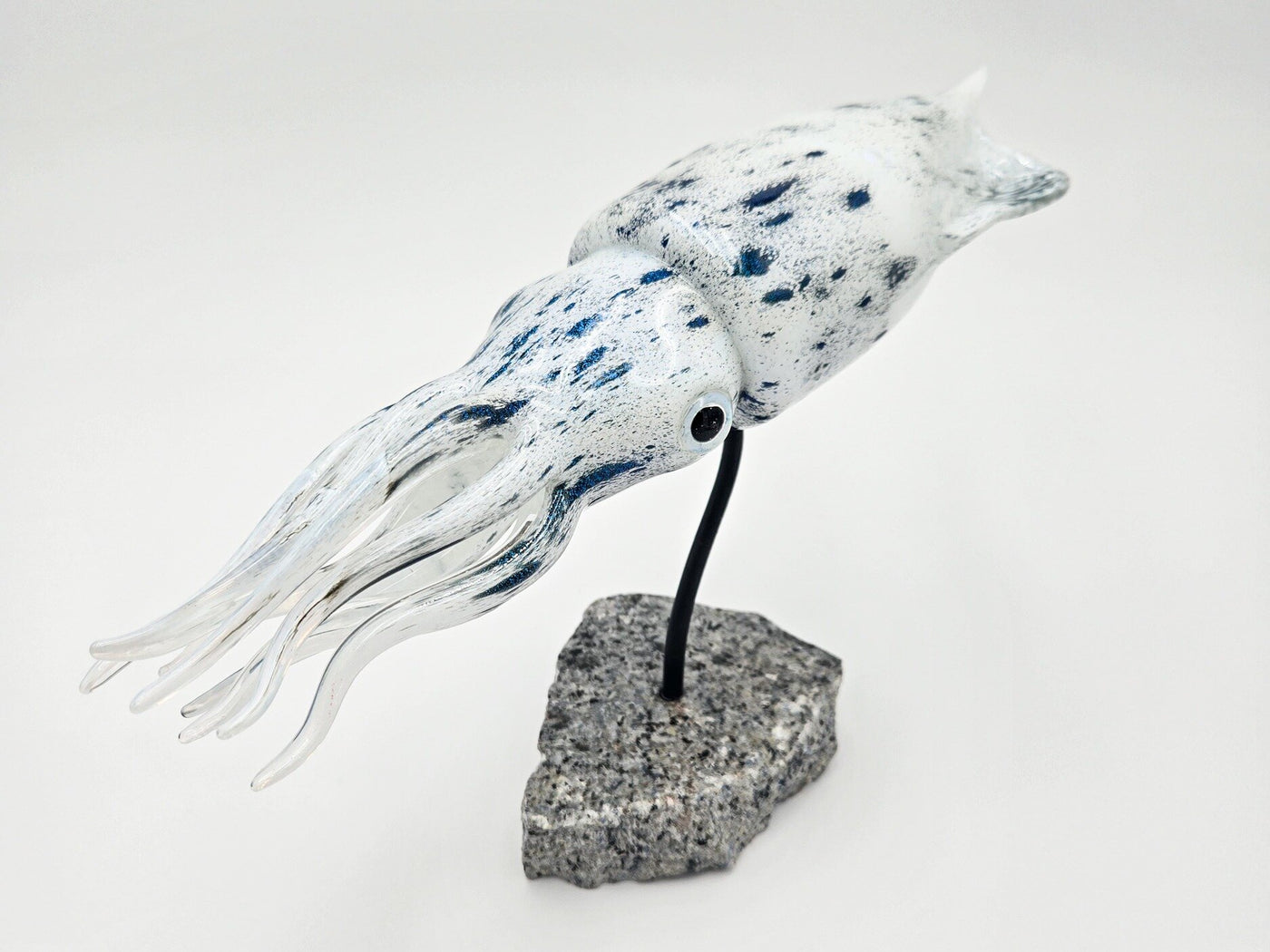 Reef Squid