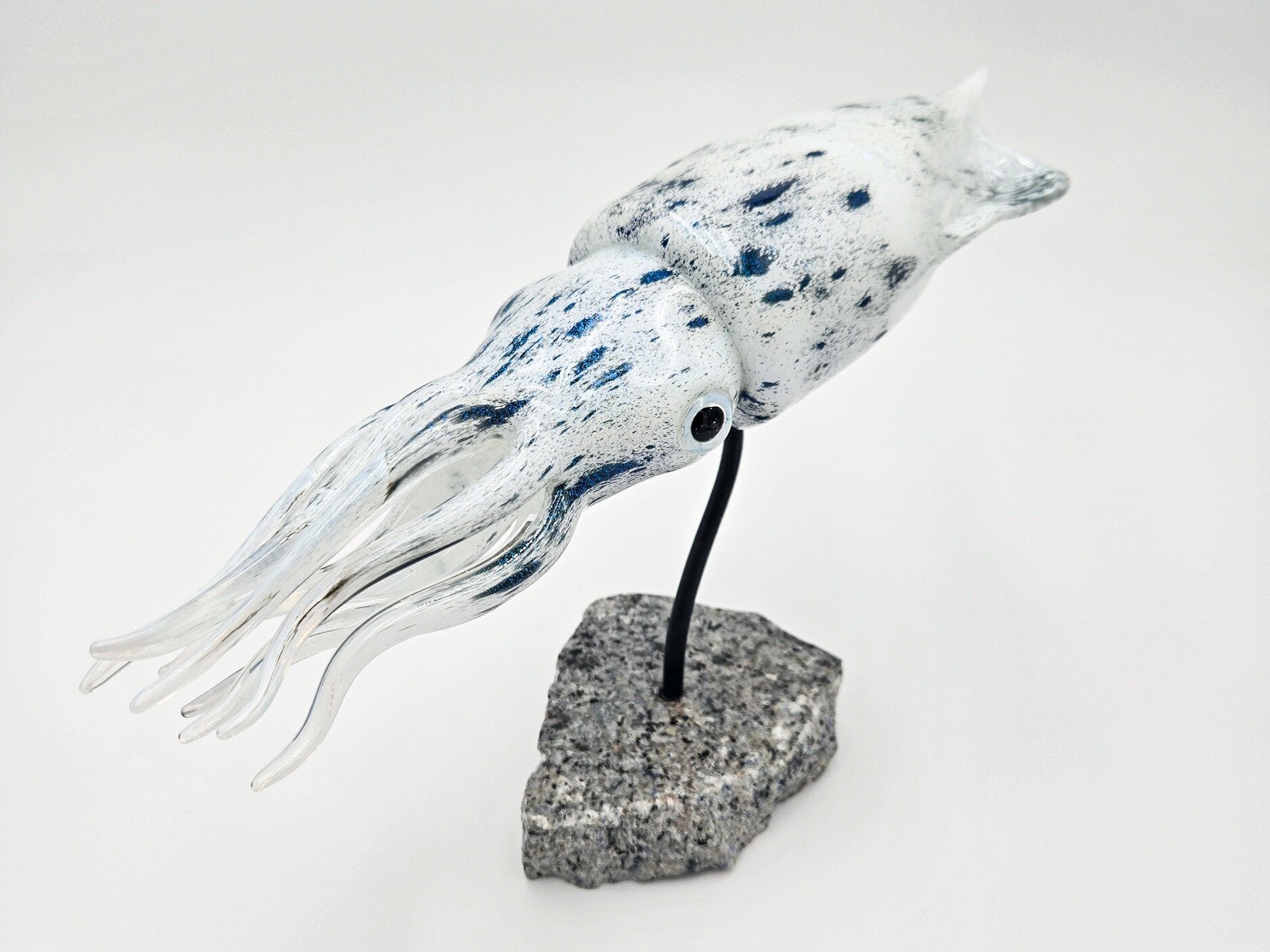 Reef Squid