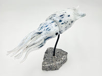Reef Squid