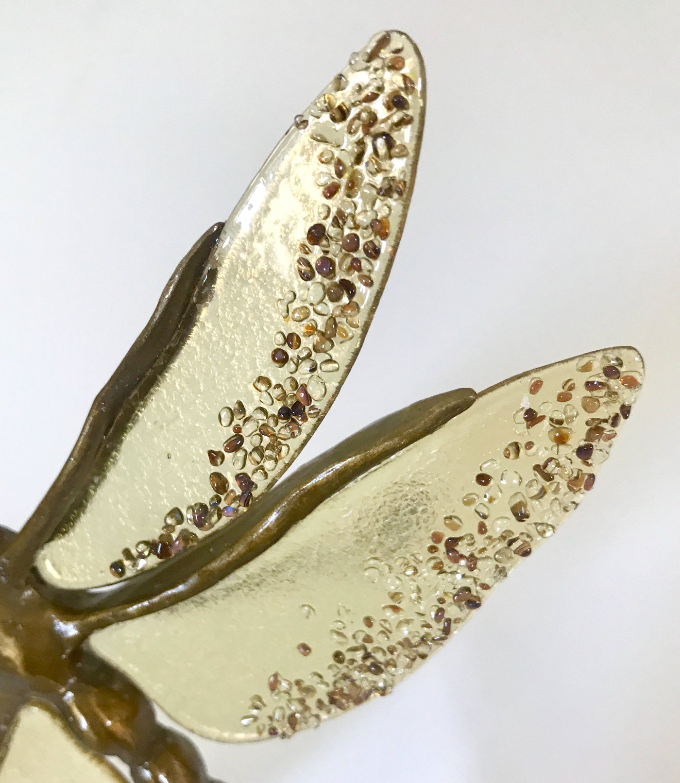 Brown Dragonfly with Amber Wings